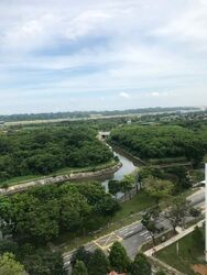 Evergreen Park (D19), Apartment #503153931